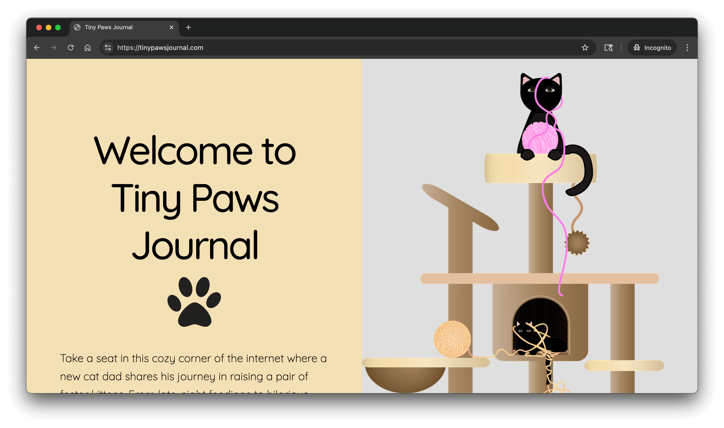 screenshot of Tiny Paws Journal, website about the journey of kitten owner